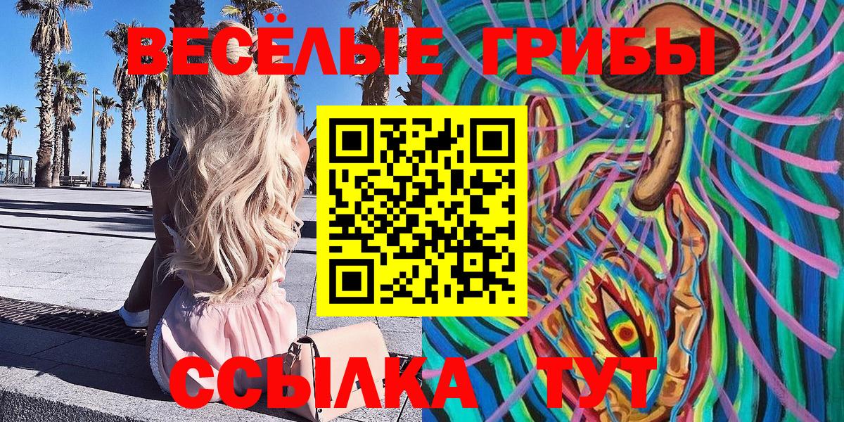 Галлюциногенные грибы Cubensis Тихвин
