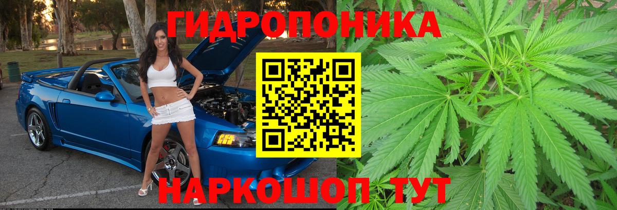 Канабис MAZAR  Вход с VPN  Бошки Шишки план  Тихвин  Каннабис гибрид 